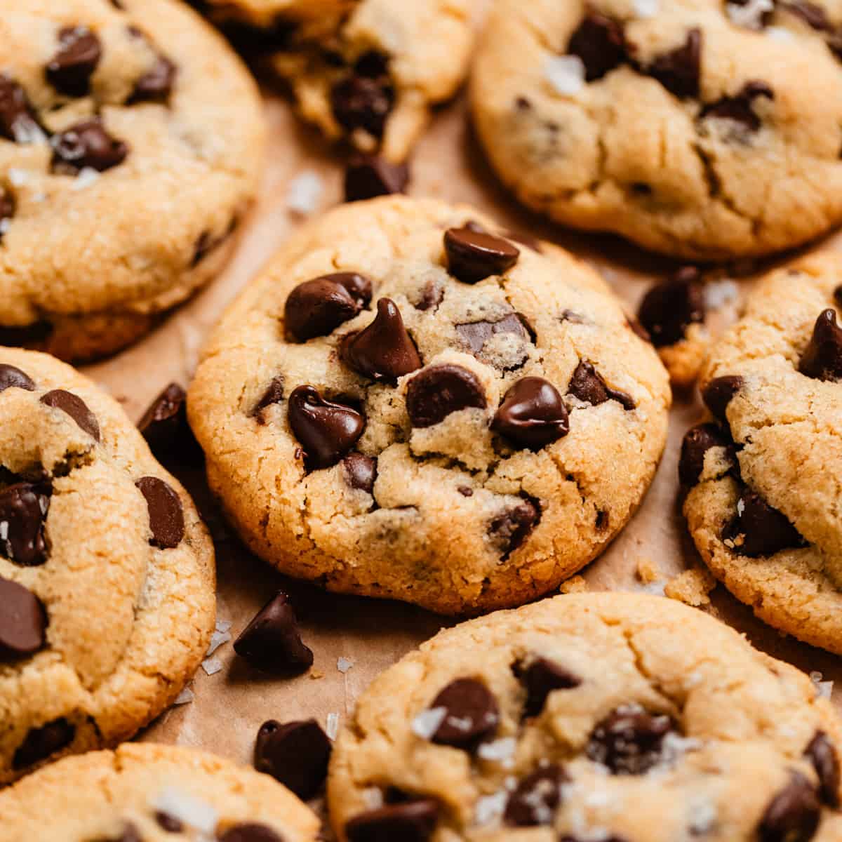 Classic Cookie